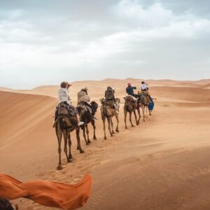 a caravan of camel in the desert