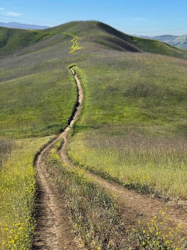 winding trail on a hill